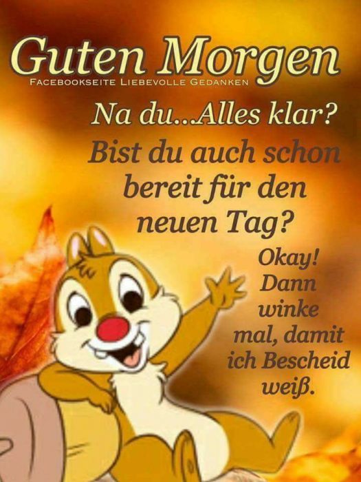 Bilder Von Ein Schonen Guten Morgen Spruch Kostenlos Imagez