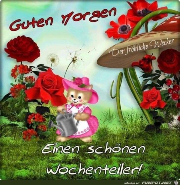 Wunder schönen guten morgen einen Schönen Guten