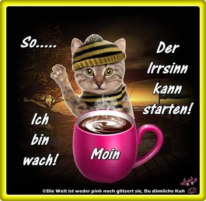 47++ Frech sarkastisch verrueckt freche guten morgen bilder , Freche Guten Spruche Fur Freunde worte der liebe