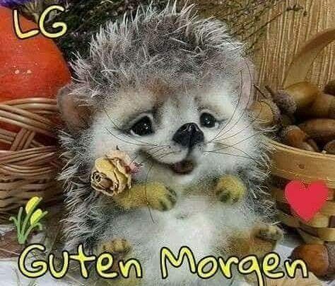 Bilder Von Schönen Arbeitstag Sprüche Kostenlos Imagez