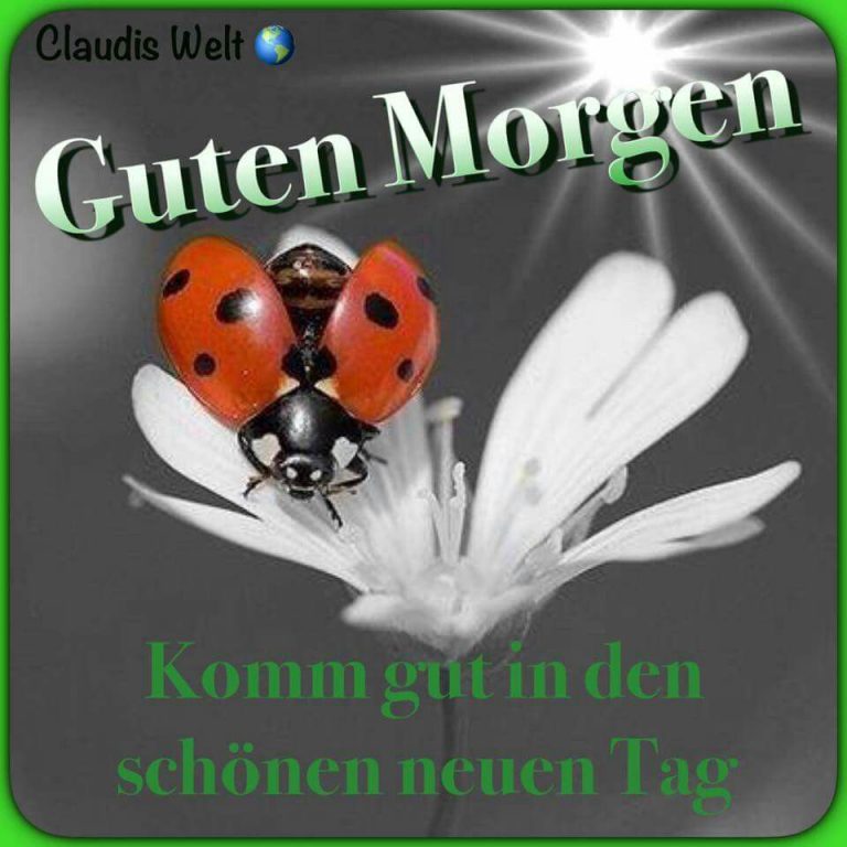 32++ Blingee bilder kostenlos guten morgen , Blingee Guten Bilder Imagez