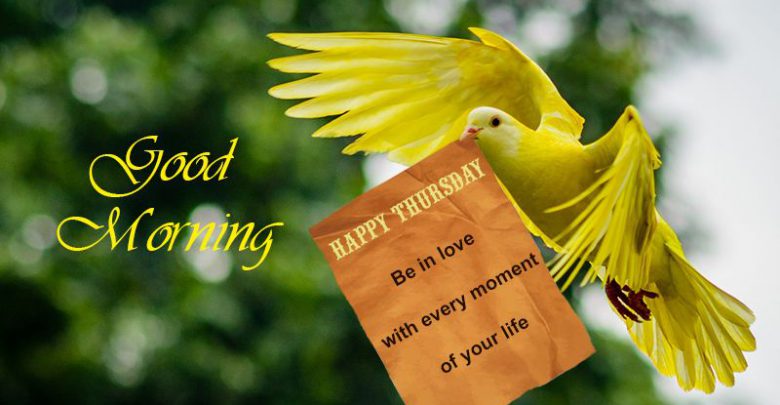 Birds good morning today images Greetings Images
