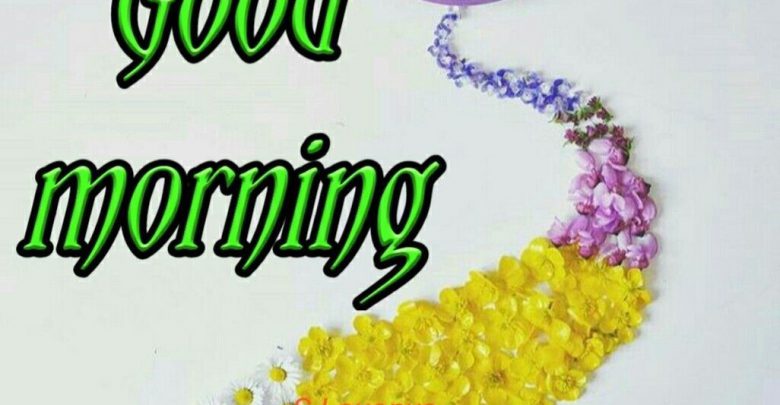 Flower great day morning image Greetings Images
