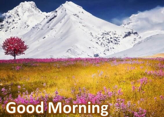 Morning wishes mountains images Greetings Images