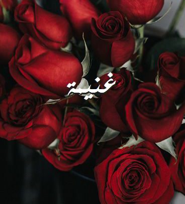 صور اسم غنيمة صور رومانسية بالورد Imagez