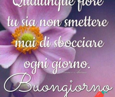 Buongiorno Amore Frasi Immagini Imagez