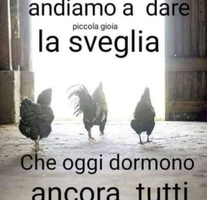 Frasi Buongiorno Amore Per Lei Immagini Imagez