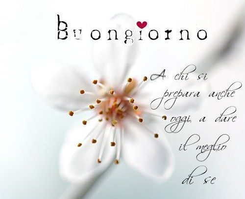 Frasi Di Buongiorno Dolci Immagini Imagez