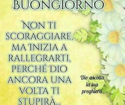 Frasi Divertenti Del Buongiorno Immagini Imagez