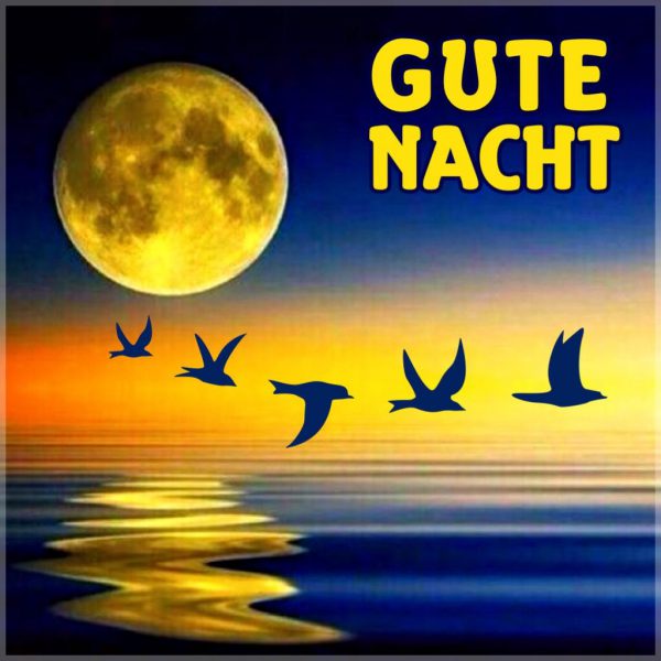 40++ Wunderschoene gute nacht bilder kostenlos , Wunderschöne Gute Nacht Imagez